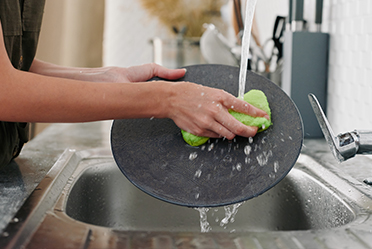 Coquina munda Spongia